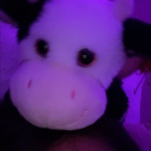 Meet your Posher, Leonel